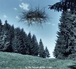 BASARABIAN HILLS - IN THE STILLNESS OF THE CODRII (CD) DIGIPAK