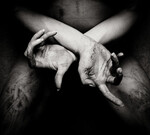 SHINING - X - VARG UTAN FLOCK (CD) DIGIPAK