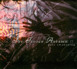 THE FROZEN AUTUMN - PALE AWAKENING (CD) DIGIPAK