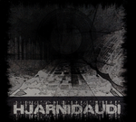 HJARNIDAUDI - PSYKOSTAREVOID (CD) DIGISLEEVE
