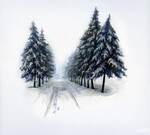 KAUAN - MUISTUMIA (CD) DIGIPAK