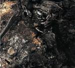 PROCESS OF GUILT - THE CIRCLE (MCD) DIGISLEEVE