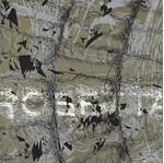 ROSETTA - THE GALILEAN SATELLITES (2XCD)