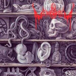 IN MEMORIUM - LOST TO ANTIQUITY (CD)