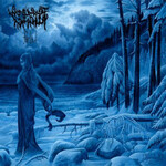 WOODS OF INFINITY - FORLAT (CD)