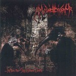 Misanthropia - When the Sky Rained Death (CD)