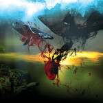 A STORM OF LIGHT - AND WE WEPT THE BLACK OCEAN WITHIN (CD)