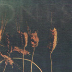 THRONES - ALRAUNE (CD)