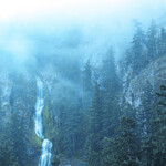 WOLVES IN THE THRONE ROOM - DIADEM OF 12 STARS (CD)