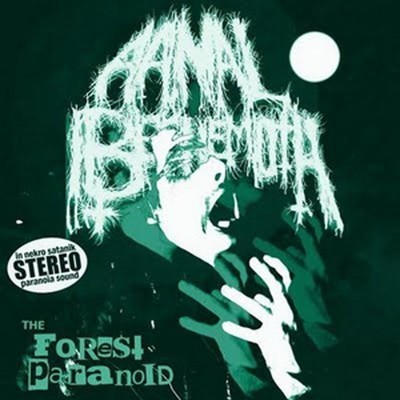 Aanal Beehemoth - The Forest Paranoid (CD)