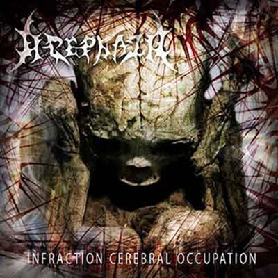 Acephala - Infraction Cerebral Occupation (CD)