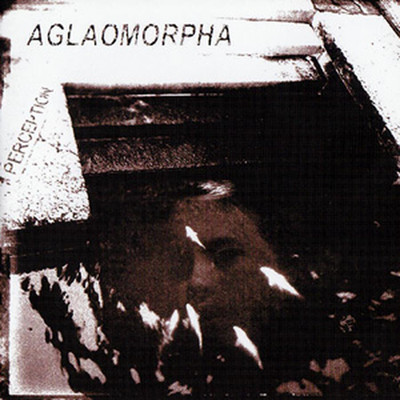 Aglaomorpha - Perception (CD)