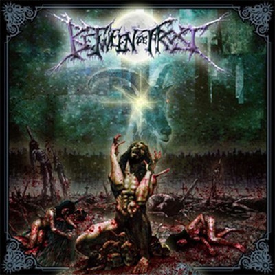 Between The Frost - Realms Of Desolation (CD)