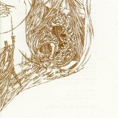 LORD VICAR / FUNERAL CIRCLE - SPLITCD - LORD VICAR / FUNERAL CIRCLE (MCD)