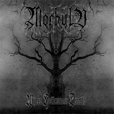 MORKULV - WHERE HOLLOWNESS DWELLS (CD)