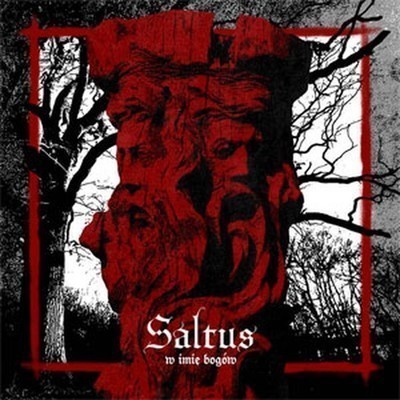 Saltus - W Imie Bogow (CD)