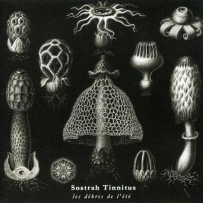 Sostrah Tinnitus - Les Debris De L'ete (CD)