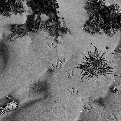 MORPHINIST - THE EUPHORIA SESSION (CD)