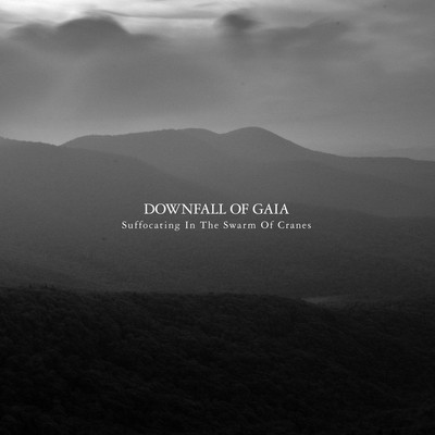 Downfall Of Gaia - Suffocating In The Swarm Of Cranes (CD)