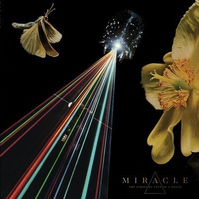Miracle - The Strife Of Love In A Dream (CD)