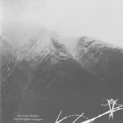 Vinterriket - Der Letzte Winter - Der Ewigkeit Entgegen (CD)