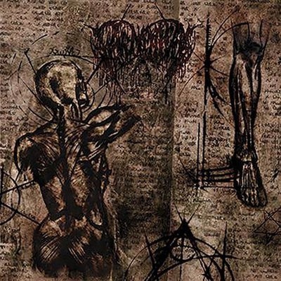 Wormphlegm - In An Excruciating Way Infested With Vermin And Violated By Executioners Who Practise Incendiarism And Desanctifying The Pious (12'' LP) Gatefold
