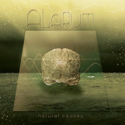 Alarum - Natural Causes (CD)