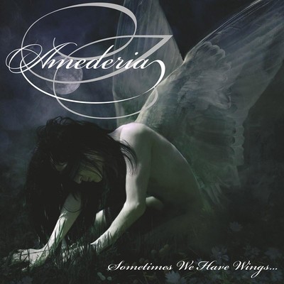 amederia-sometimes-we-have-wings