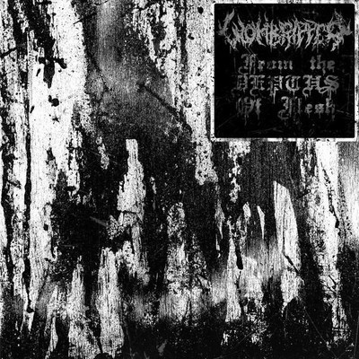 Wombripper - From the Depths of Flesh (CD)