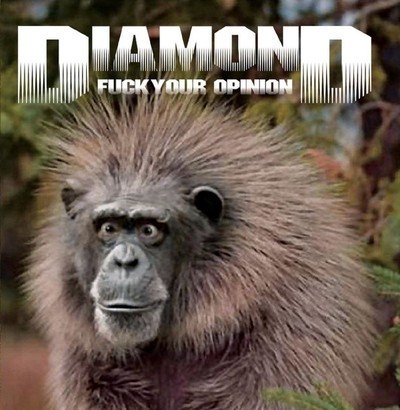 Diamond - Fuck Your Opinion (CD)