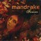 Mandrake - Forever (CD)