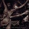 Hetzer - Fall Of The Holy Cult (CD)