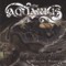 The Aquarius - Мелодия планеты (CD)