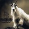 Goatsnake - Trampled Under Hoof (CD)