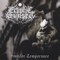 Ecliptic Sunset - Sinister Temperance (CD)