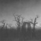 DUSK - DUSK / ...MAJESTIC THOU IN RUIN (SILVER MARBLE) (2X12'' LP) GATEFOLD