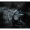 Eye Of Solitude / Marche Funèbre - Collapse / Darkness (CD) Digipak
