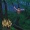 Nemus - Wald - Mensch (CD)