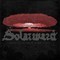 Solarward - How To Survive A Rainout (CD)
