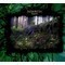 Лихолесье - Видения (CD) Digipak