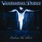 Vanishing Point - Embrace The Silence (CD)
