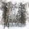 Astarium - Winter Growths (Part II​)​ (CD)