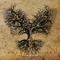 V/A - Эффект Бабочки - Своя Земля (Butterfly Effect - Our Land) (CD)