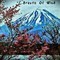 Breath Of Wind - Sakura (CD)