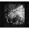 Liminal Shroud - Through The False Narrows (CD) Digipak