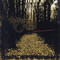 ЯНТАРНЫЕ СЛЕЗЫ (AMBER TEARS) - ОТКРОВЕНИЕ ОТРЕЧЁННЫХ (REVELATIONS OF RENOUNCED) (CD)